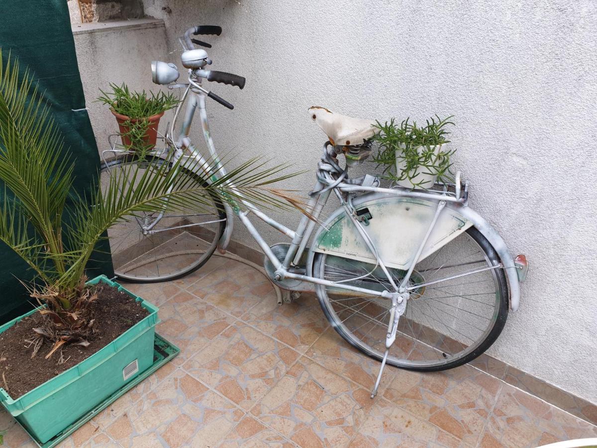 Guest House Roki & Diva (Adults Only) Zadar Dış mekan fotoğraf